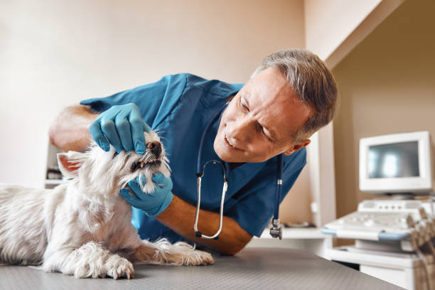 Best Broken or Cracked Tooth Emergency Dentist in Jemison, AL