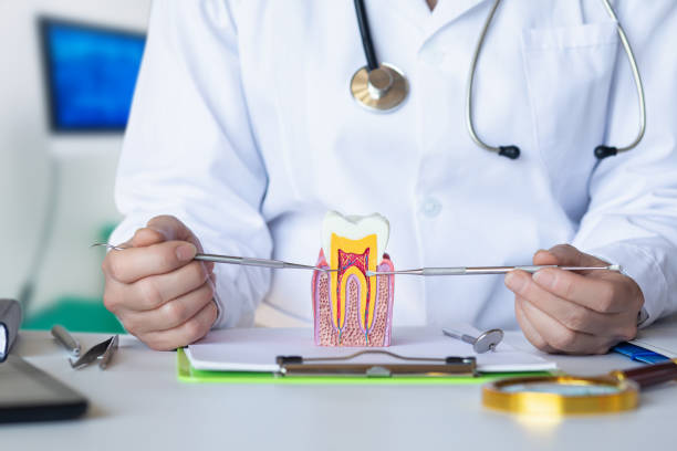Best Emergency Root Canal Treatment in Jemison, AL